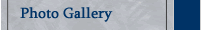 Photo Gallery